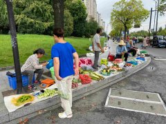 農貿市場“馬路攤爆滿、場內攤位空置”的行業
